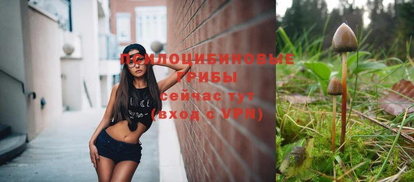 соль курить ск Костерёво