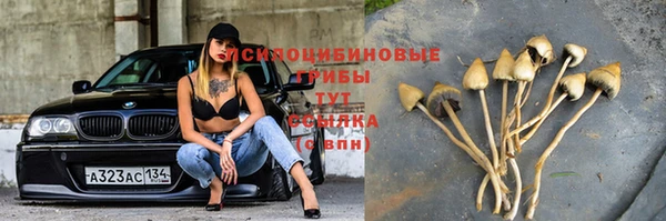 мяу мяу мука Корсаков