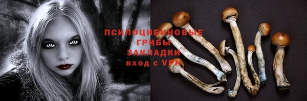 мяу мяу мука Корсаков