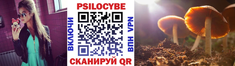 Купить закладки  Рыбное  Псилоцибиновые грибы GOLDEN TEACHER 